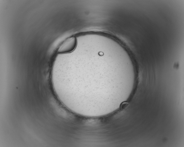 X0000110721406200907022035