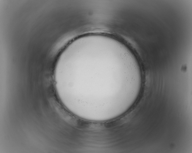 X0000110721407200907022035