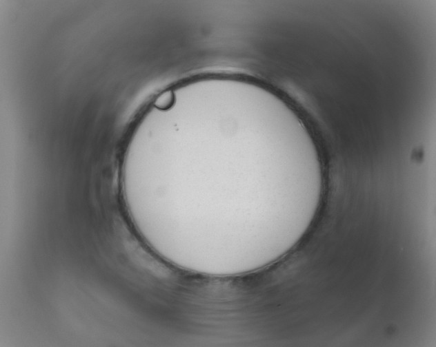 X0000110721408200907022035