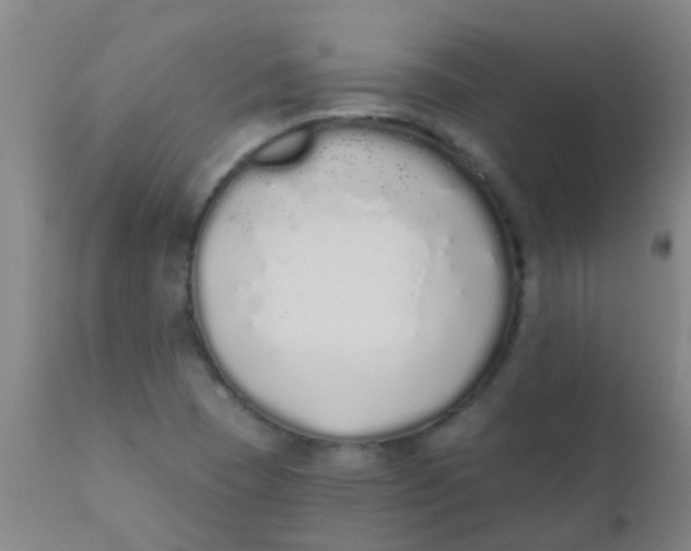 X0000110721409200907022035