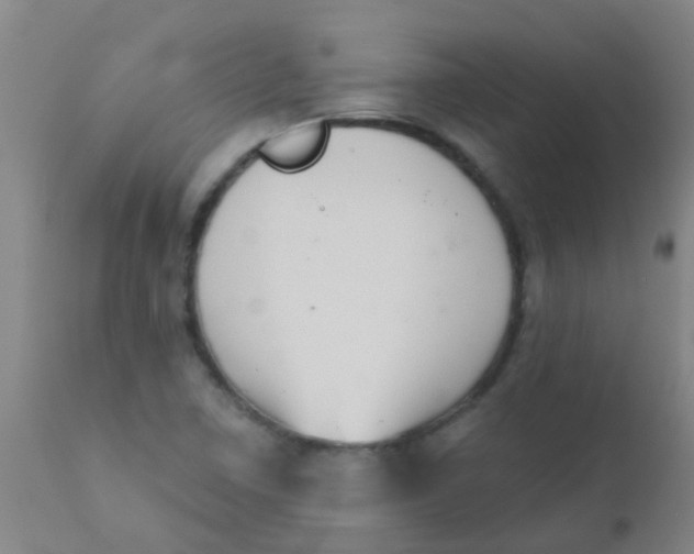 X0000110721410200907022035