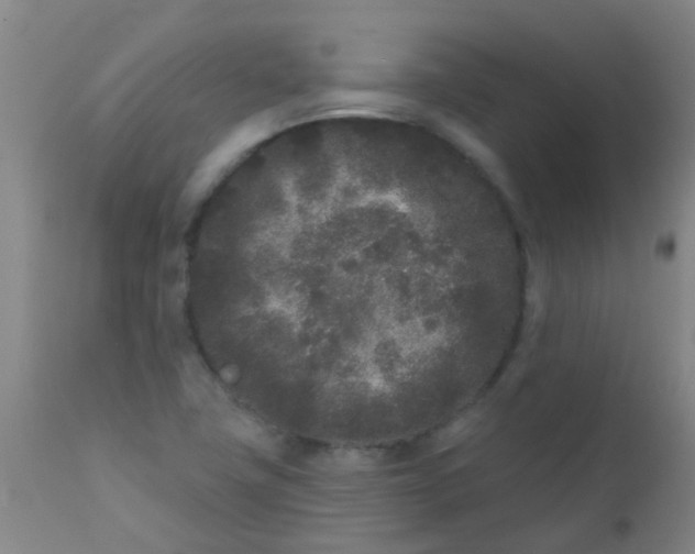 X0000110721411200907022035