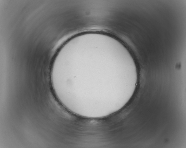 X0000110721412200907022035