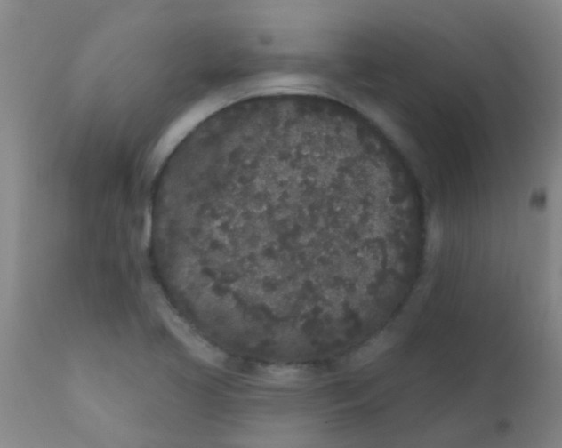 X0000110721413200907022035