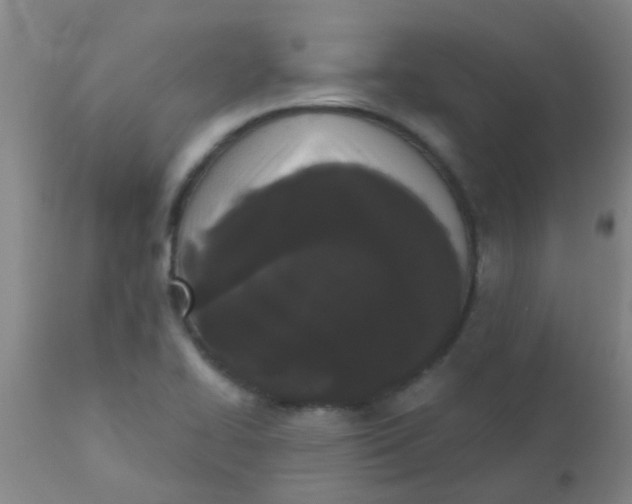 X0000110721414200907022036