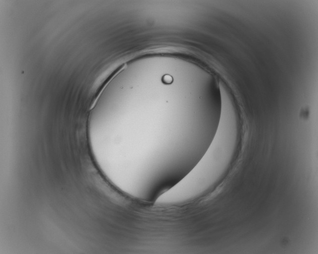 X0000110721417200907022036