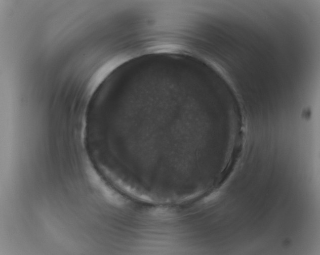 X0000110721418200907022036