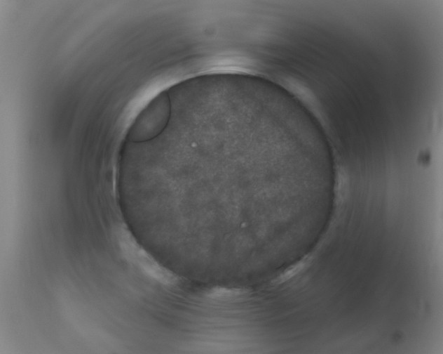 X0000110721419200907022036