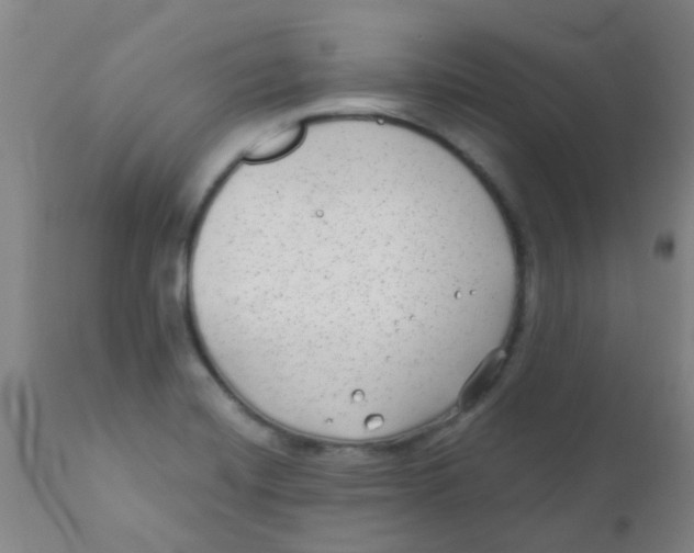 X0000110721420200907022036