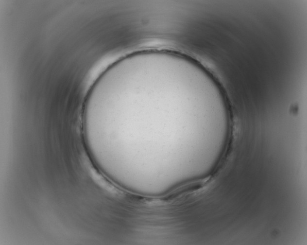 X0000110721421200907022036