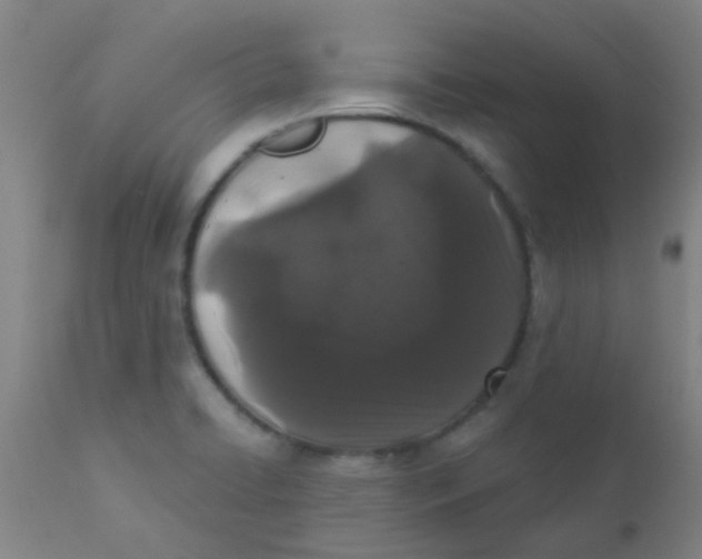 X0000110721422200907022036