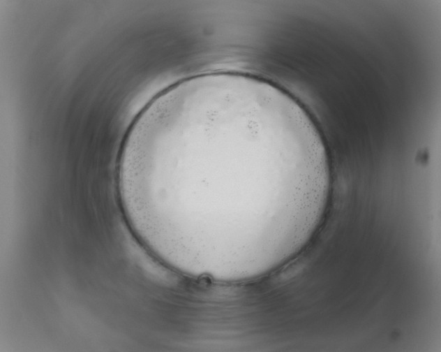 X0000110721423200907022036