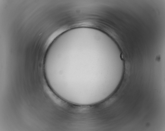 X0000110721426200907022036