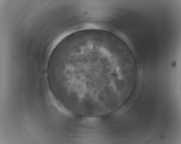 X0000110721427200907022036