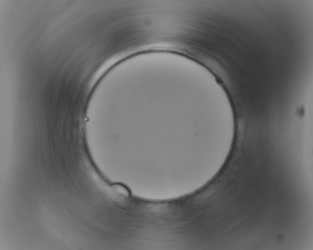 X0000110721428200907022036