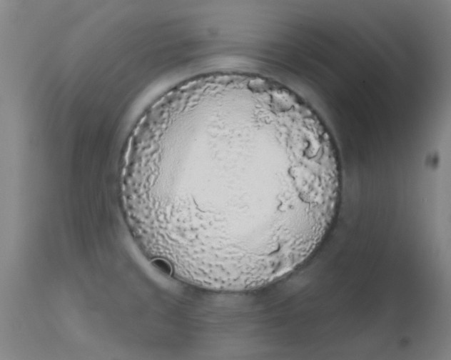 X0000110721429200907022036