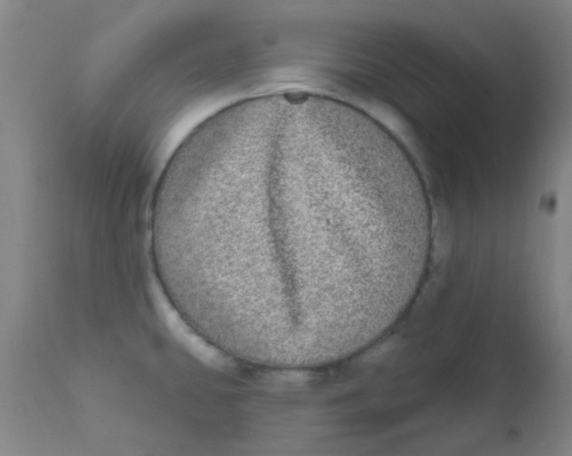 X0000110721431200907022036