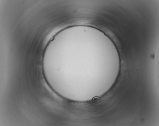 X0000110721432200907022036