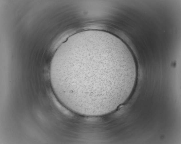 X0000110721433200907022036