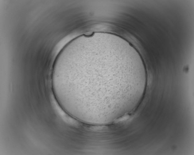 X0000110721434200907022036