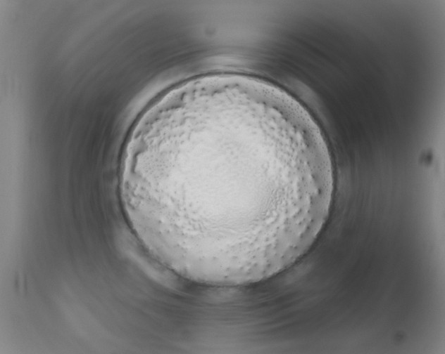 X0000110721435200907022036