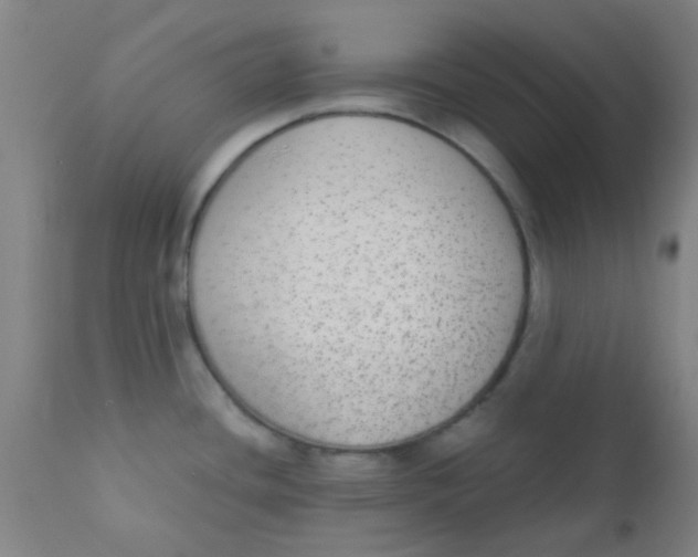 X0000110721436200907022036