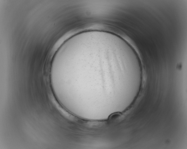 X0000110721437200907022036