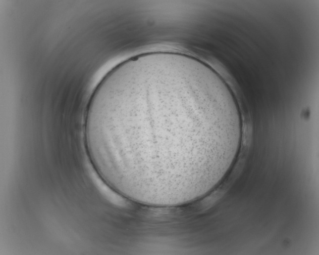 X0000110721438200907022036