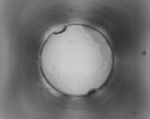 X0000110721439200907022036