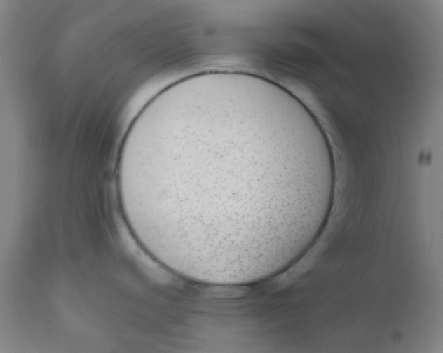 X0000110721440200907022036