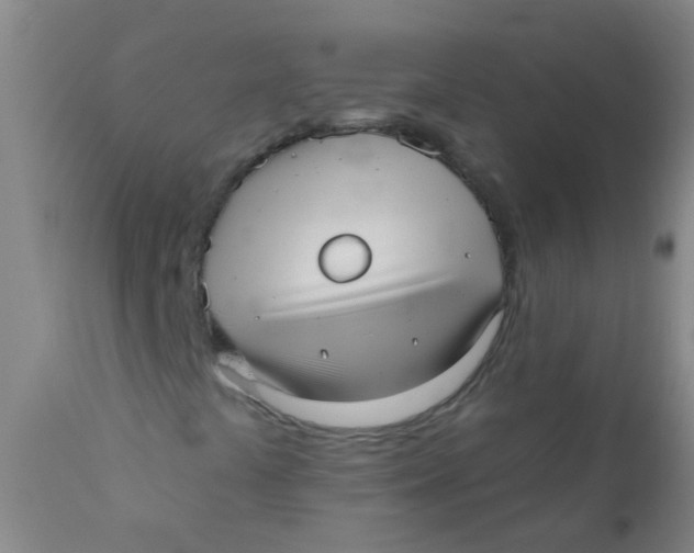 X0000110721441200907022035