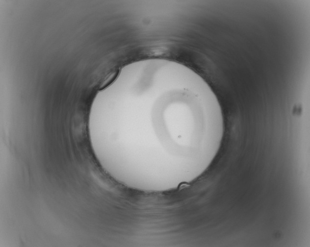 X0000110721442200907022035