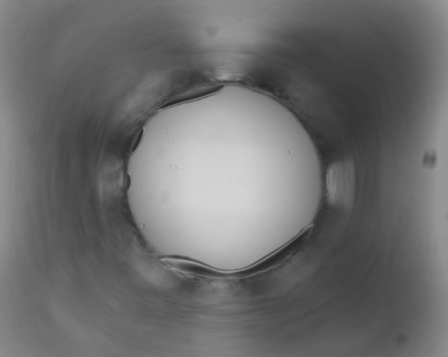 X0000110721443200907022035