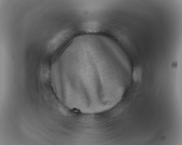 X0000110721444200907022035