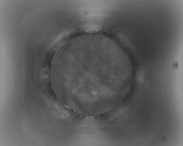 X0000110721445200907022035