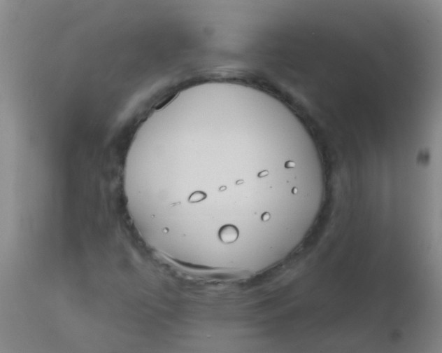 X0000110721447200907022035