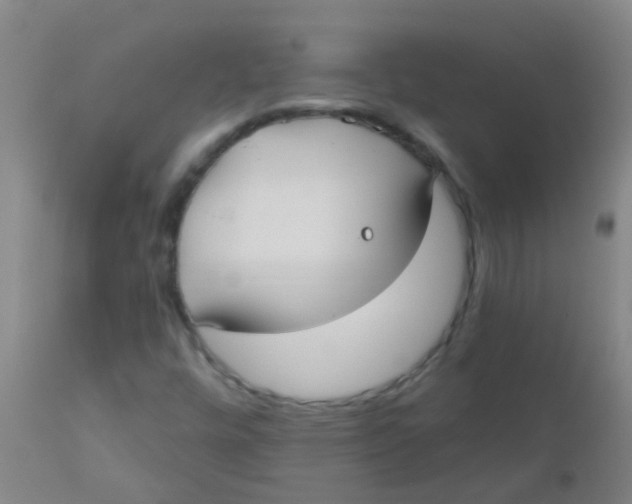 X0000110721448200907022035