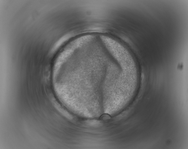 X0000110721450200907022035