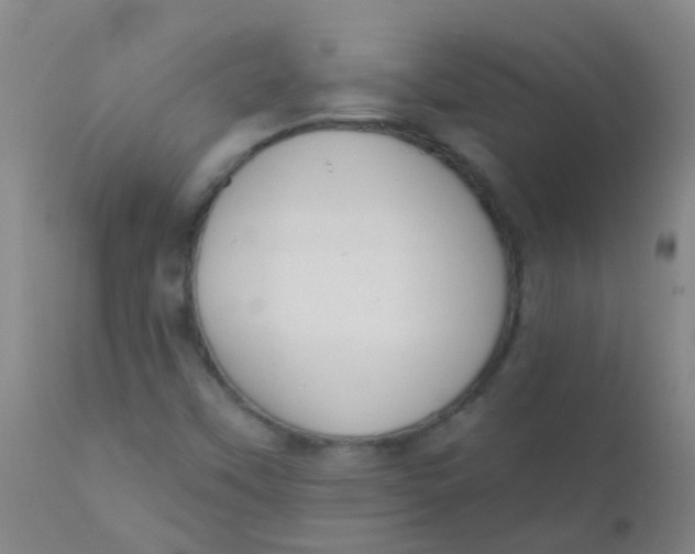 X0000110721451200907022035