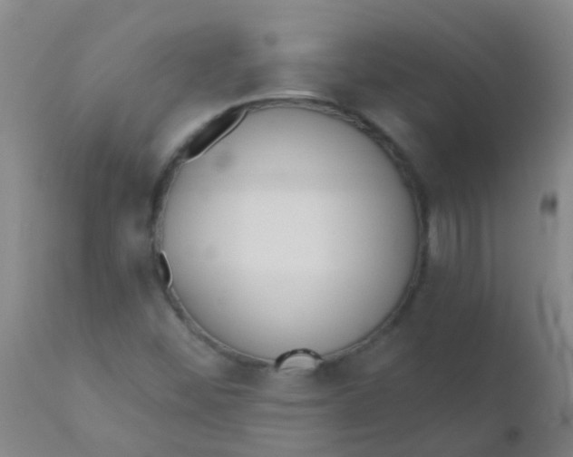 X0000110721452200907022035