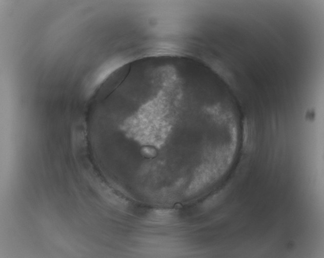 X0000110721453200907022035