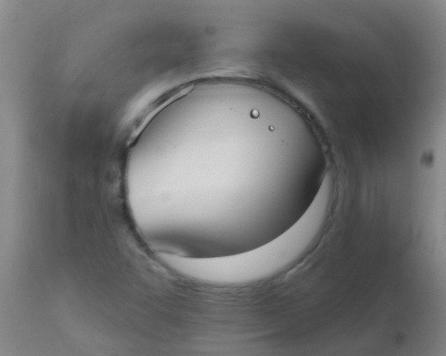 X0000110721455200907022035