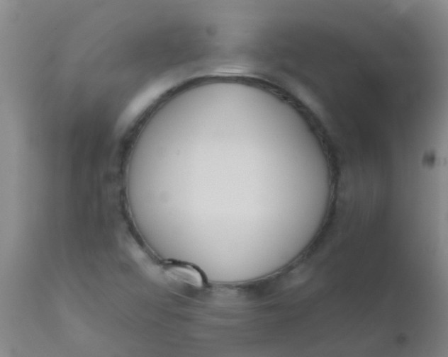 X0000110721456200907022035