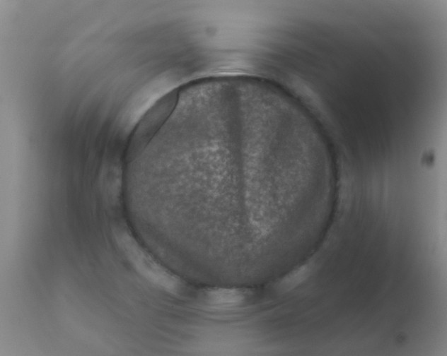 X0000110721457200907022035