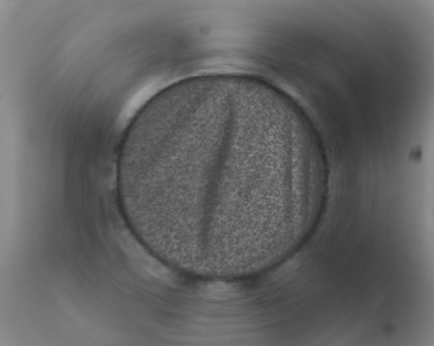 X0000110721459200907022035