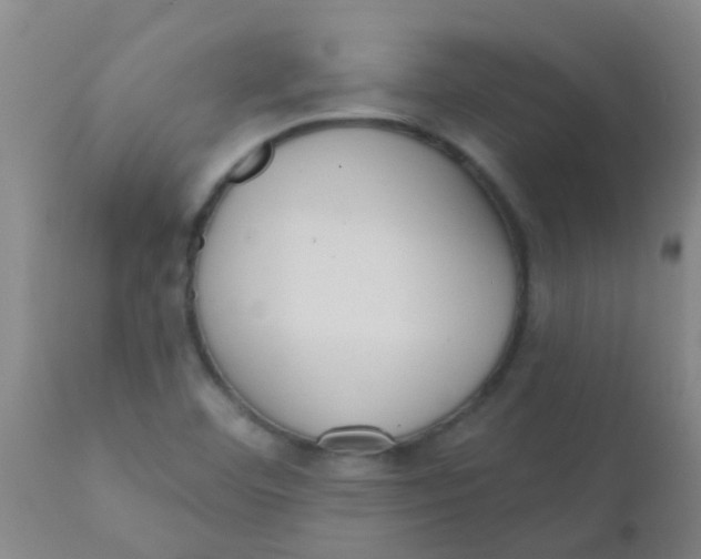 X0000110721460200907022035