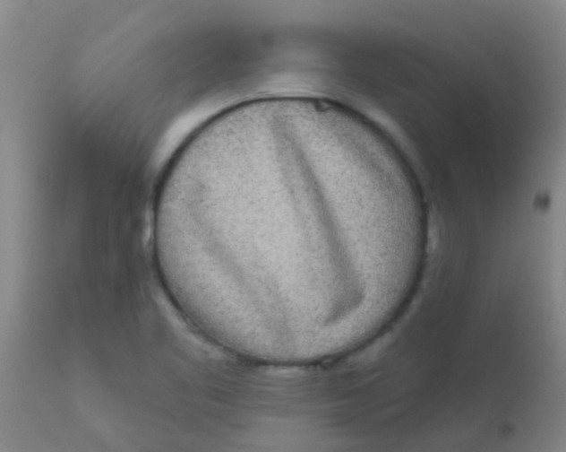 X0000110721461200907022035