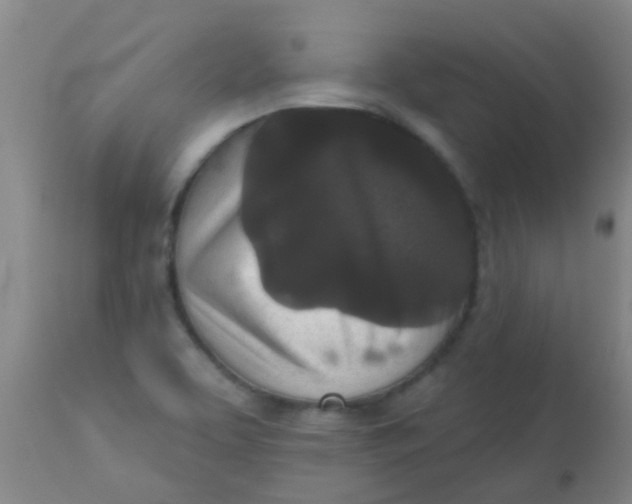 X0000110721463200907022035