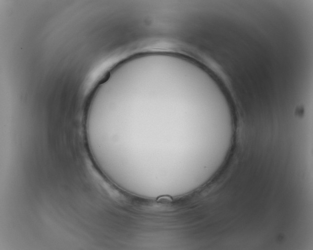 X0000110721464200907022035