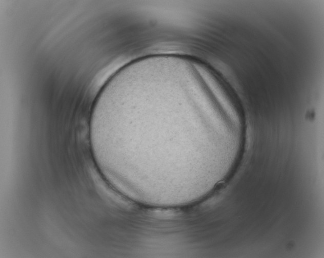 X0000110721465200907022035